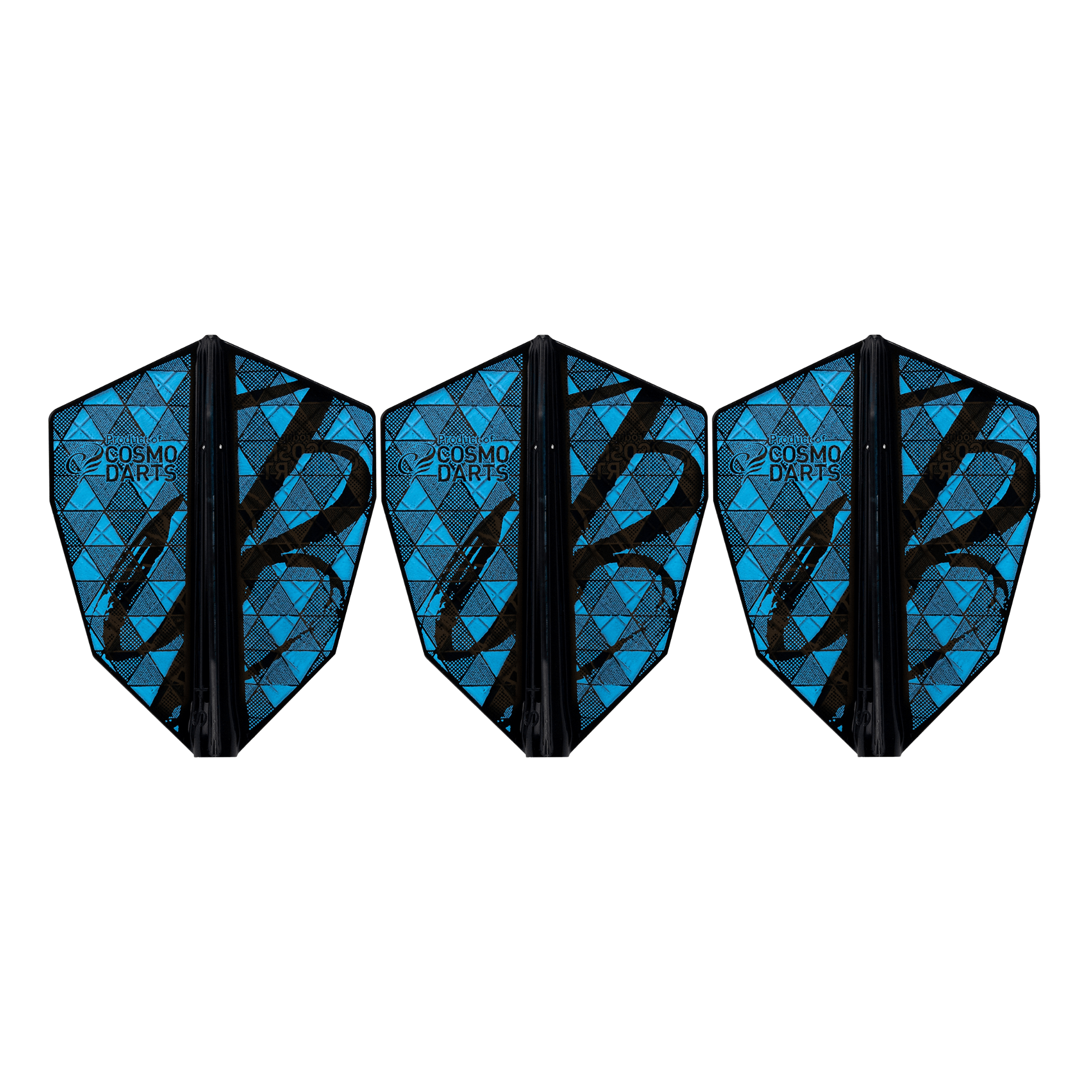 Cosmo Fit Flights Pro Jason Brandon S-4 B Seite