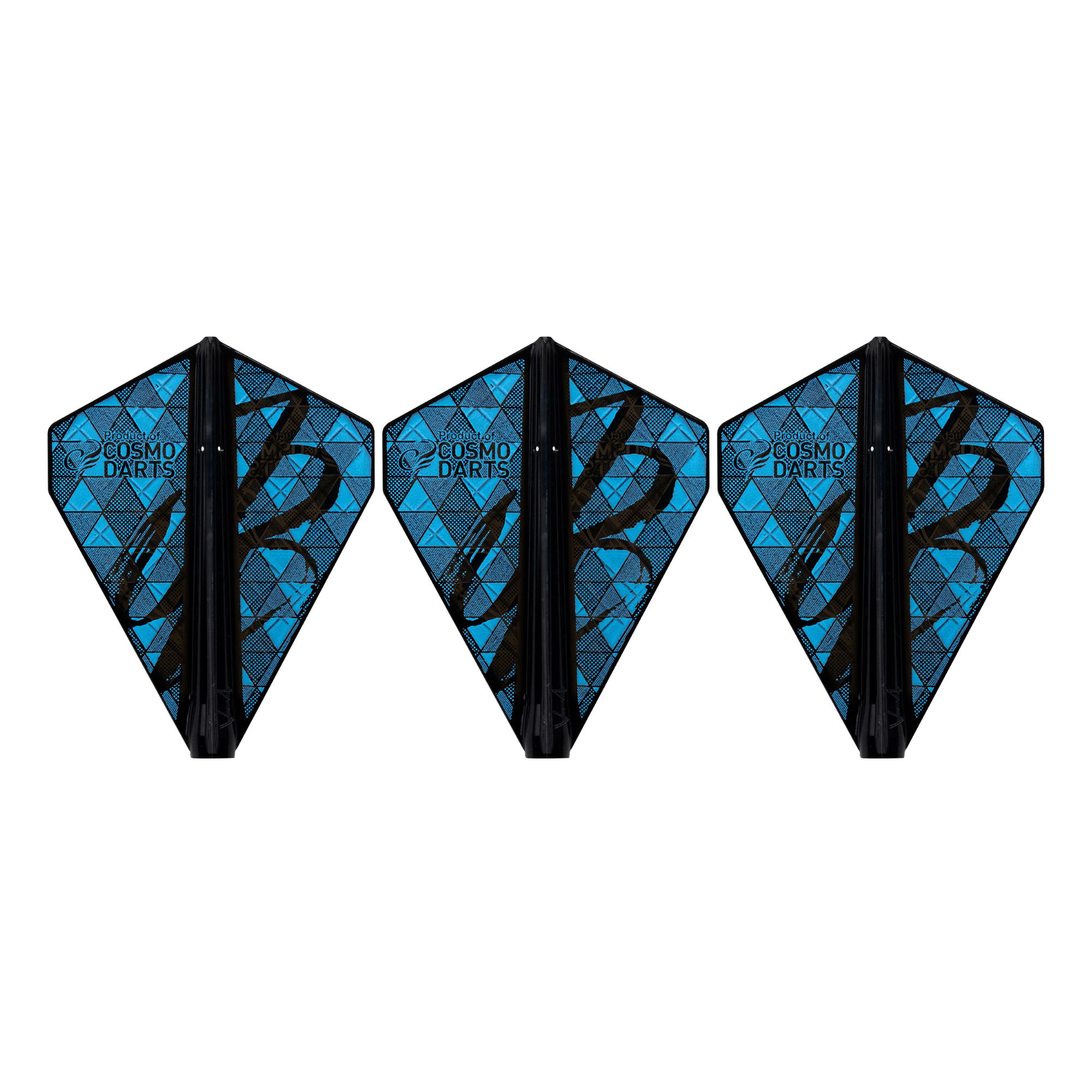 Cosmo Fit Flights Pro Jason Brandon V-4 B Seite