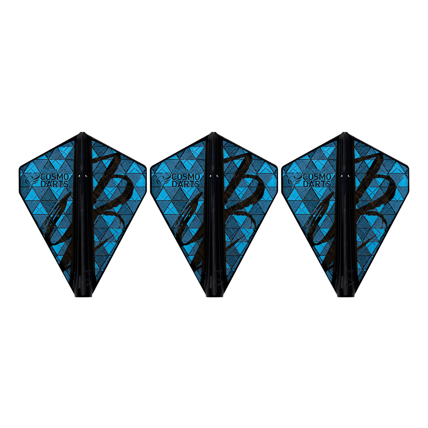 Cosmo Fit Flights Pro Jason Brandon V-4 B Seite
