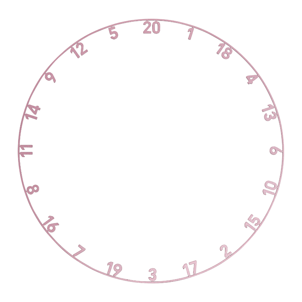 Precise180 Zahlenring Rebel Rose