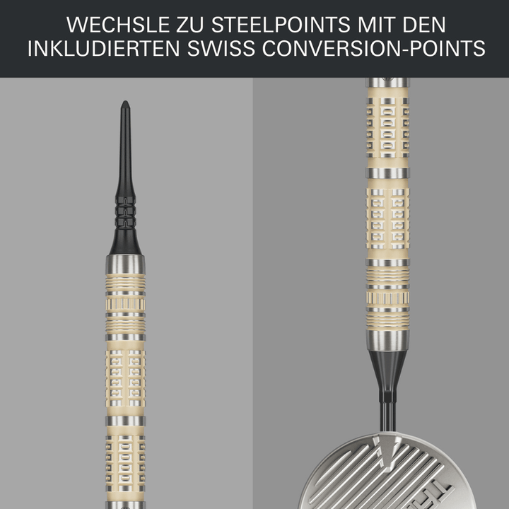 Target Dimitri van den Bergh 95K Softdarts Detail
