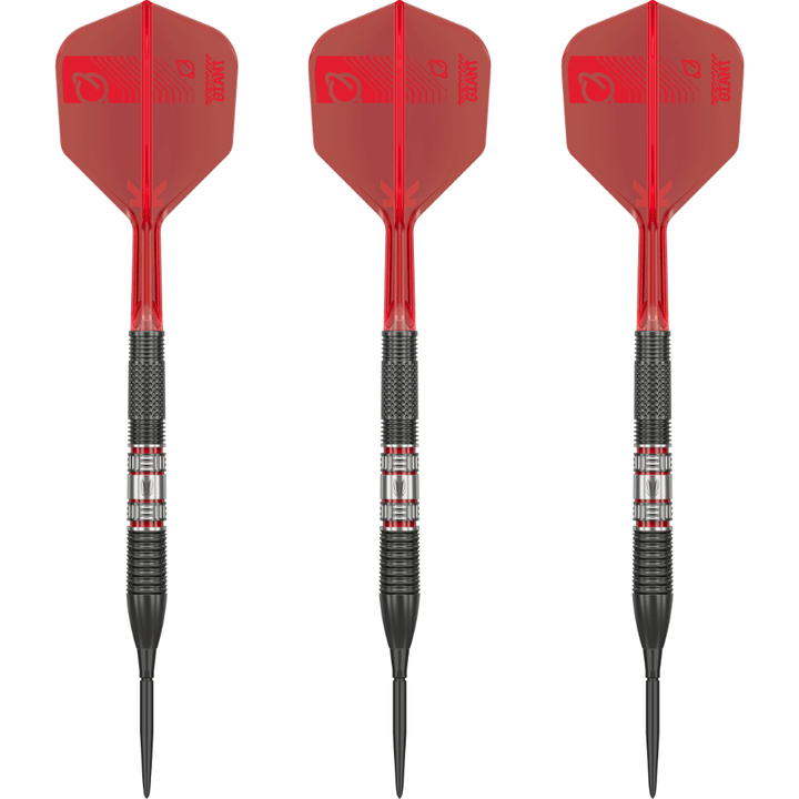 Target Gabriel Clemens 95K Swiss Point Steeldarts Set