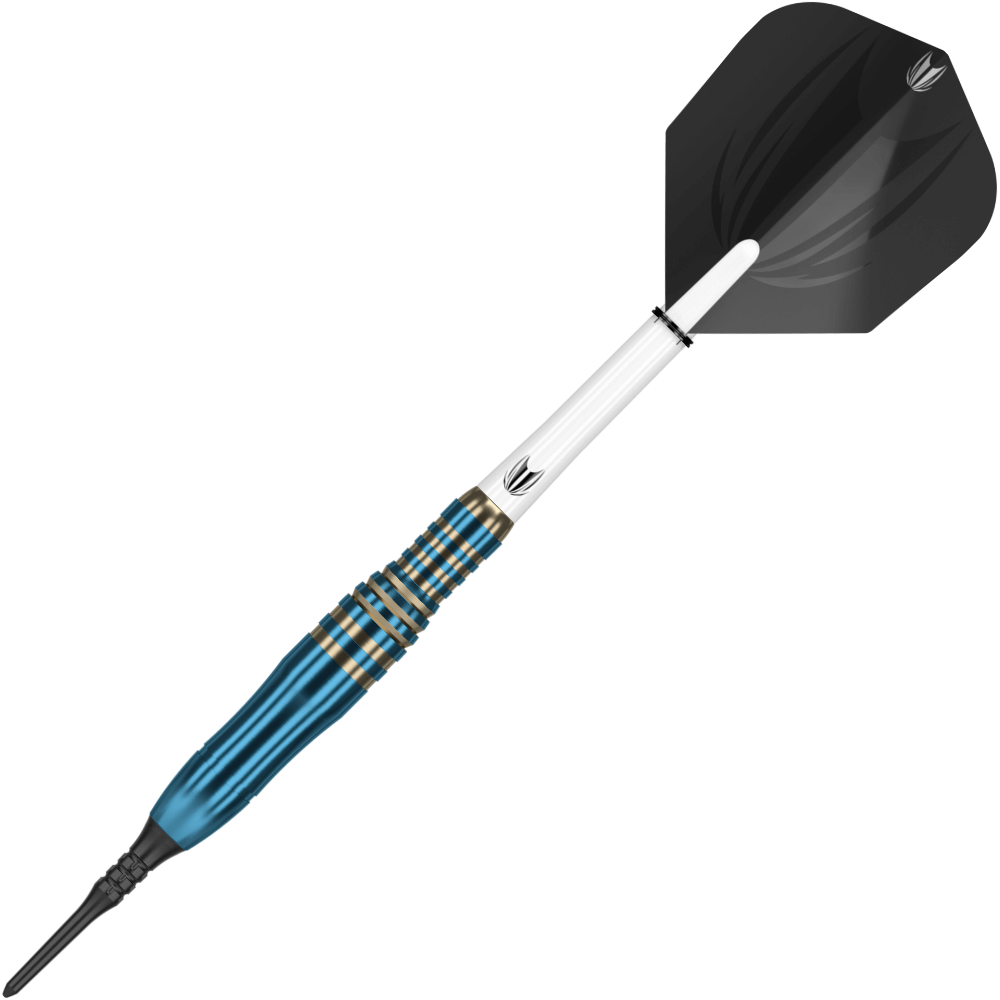 Target Japan Haruki Muramatsu Brass Softdarts