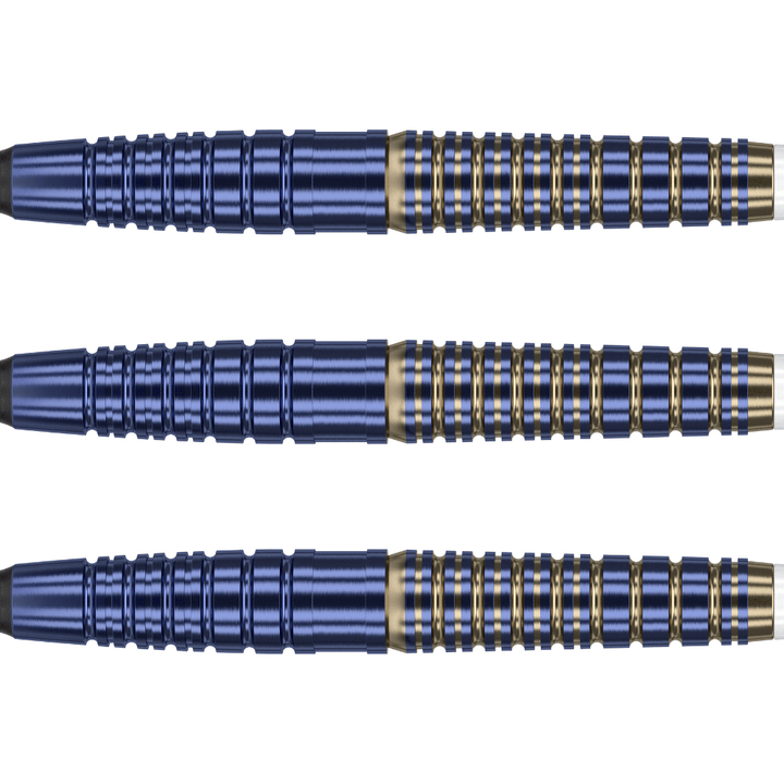 Target Japan Paul Lim Brass Softdarts Detail