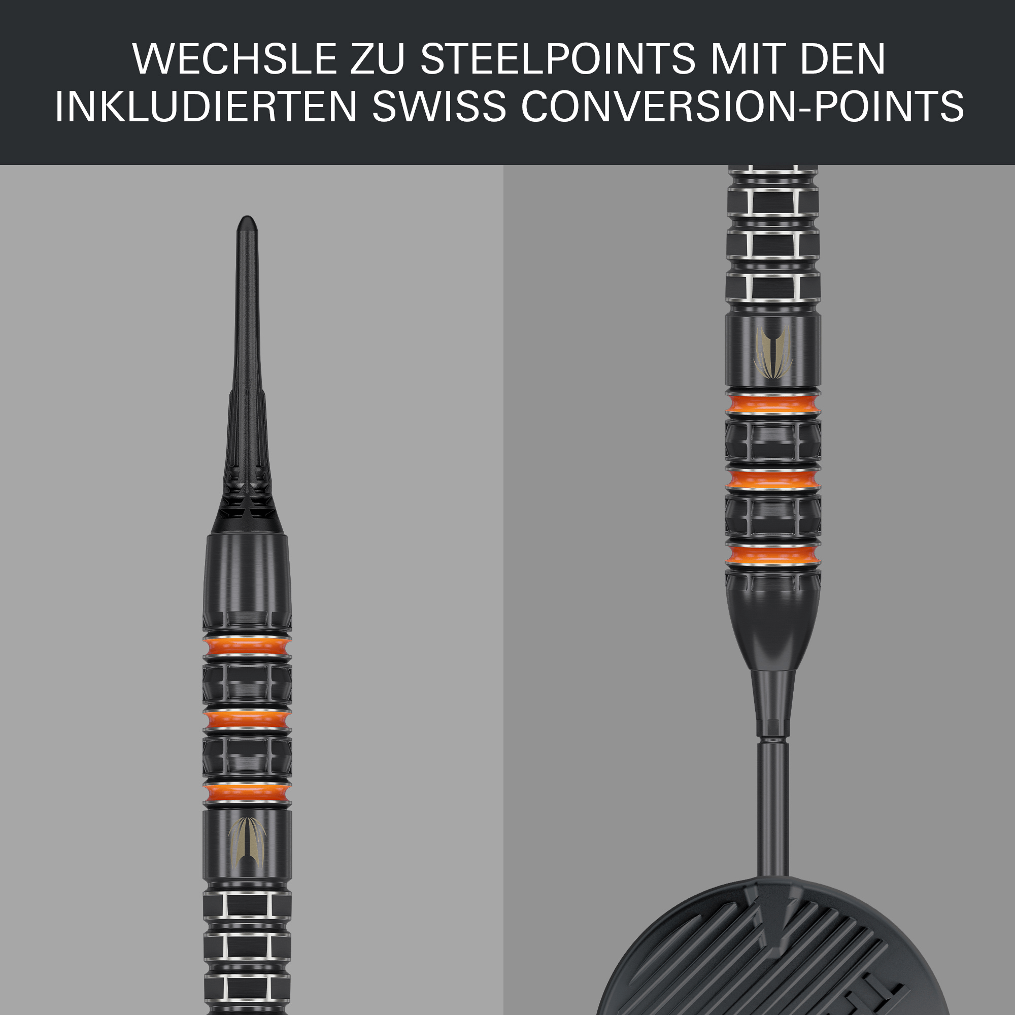 Target Raymond van Barneveld 95K Softdarts Details Conversion Points