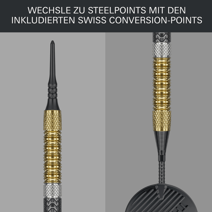 Target Raymond van Barneveld GEN6 Softdarts Detail