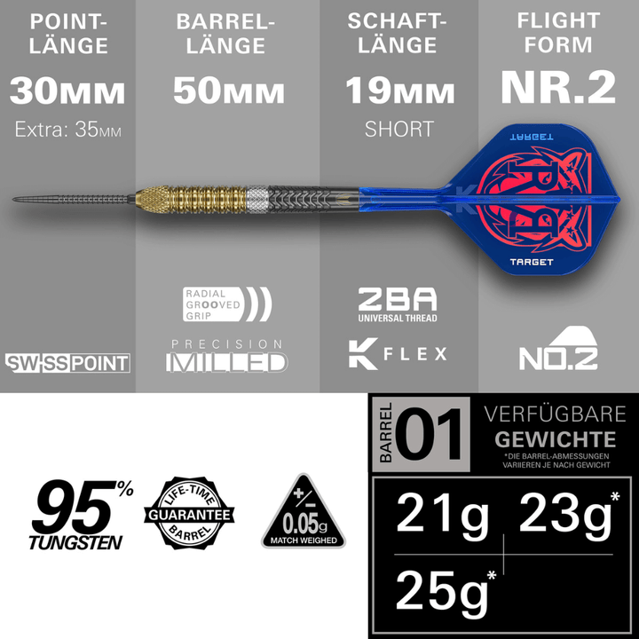 Target Raymond van Barneveld GEN6 Swiss Point Steeldarts Längen