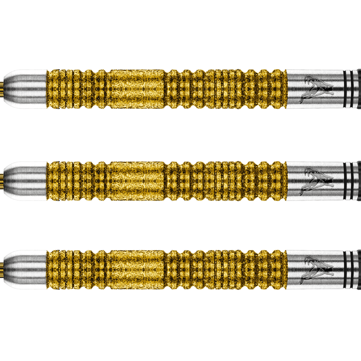 Red Dragon Peter Wright Double World Champion SE Gold Steeldarts Detail